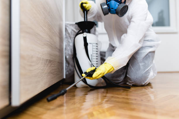 Best Wasp Removal Services  in Edgecliff Village, TX