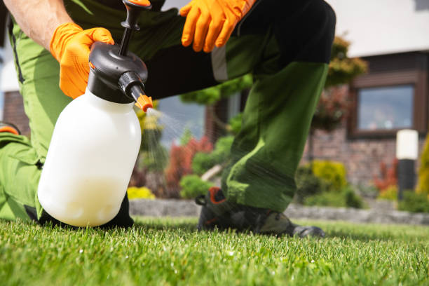  Edgecliff Village, TX Pest Control Pros