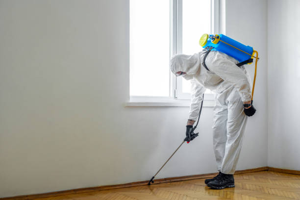 Best Affordable Pest Control Services  in Edgecliff Village, TX