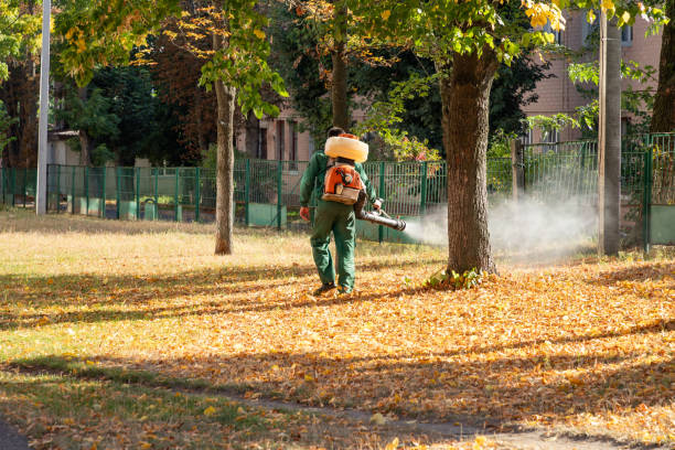 Best Bird Control  in Edgecliff Village, TX